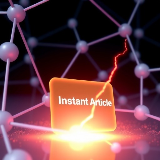 Facebook Instant Articles Facebook即时文章：引爆内容速度与传播新革命