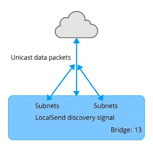 【小记】解决校园网中单播互通的不同子网间的 LocalSend 发现问题